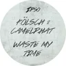 Waste my time by Kölsch cover art