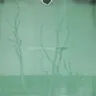 Blind cover art