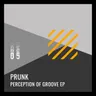 Perception Of Groove cover art