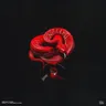 Nazar cover art