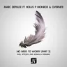 No Need to Worry - Freakme Remix cover art
