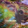 Chameleon cover art
