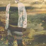 Interlude by Dandara cover art