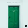 365 cover art