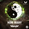How Many cover art