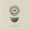 Delta Wave cover art
