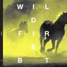 Wildfire - Sean Tyas Remix by Sean Tyas cover art