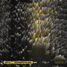 Carola At Monegros 2004, 12pm cover art