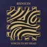 Voices in My Head cover art