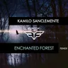 Enchanted Forest - JP Lantieri Remix cover art