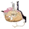 Cookie Dust cover art