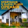Openair - Smart Apes Remix cover art
