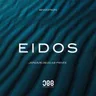 Eidos - Jerome Isma-Ae Remix by Jerome Isma-Ae cover art