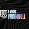 Wormhole by Mefjus cover art