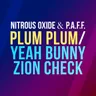Plum Plum (original mix) cover art