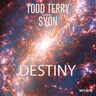 Destiny - Edit by Todd Terry cover art