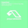 I Found the Way (original Bangin’ mix) by Daniel Kandi cover art