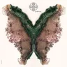Ambifoco cover art