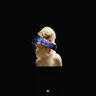Victory by Nihil Young cover art