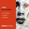 Are You Ready - Original Mix cover art