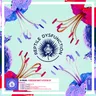Beat Phreakin - Tripmastaz Remix cover art