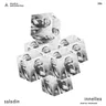 Saladin album cover