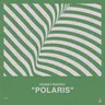 Polaris - Edit by Franky Rizardo cover art