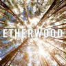 Weightless by Etherwood cover art