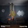 The Ceiling (extended mix) cover art
