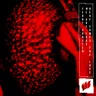 Here Comes the Love by Ferry Corsten cover art