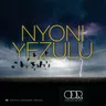 Nyoni Yezulu by Zakes Bantwini cover art