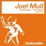 Fantastish by Joel Mull cover art