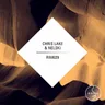 Filthy Rich Remix (Filthy Rich remix) by Chris Lake cover art