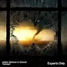 Twisted (extended mix) by Adam Sellouk cover art