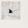Outside (Parra for Cuva remix) cover art