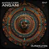 Angani by Matan Caspi cover art