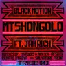 Mtshongolo cover art