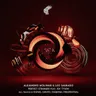 Perfect Stranger - Rafael Cerato Remix cover art