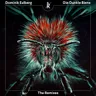 Die Dunkle Biene (Robag Wruhme Remix) cover art