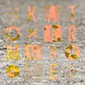 Barreleye cover art