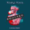 Bubble Gum - Sydka Remix by Temple Tears cover art