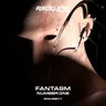Place on Fire by Fantasm cover art