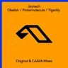Tigerlily - CAAVA Extended Mix by Jaytech cover art