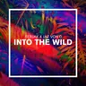 Into The Wild by Sebjak cover art