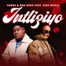 Intliziyo (feat. Sino Msolo) by DBN Gogo cover art