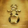 The Motto - Tiësto’s VIP Mix by Tiësto cover art