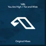 Far and Wide (extended mix) cover art