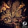 Pakpak (extended mix) cover art