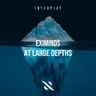 At Large Depths by Eximinds cover art