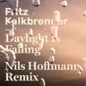 Daylight Is Falling (Nils Hoffmann Remix) cover art